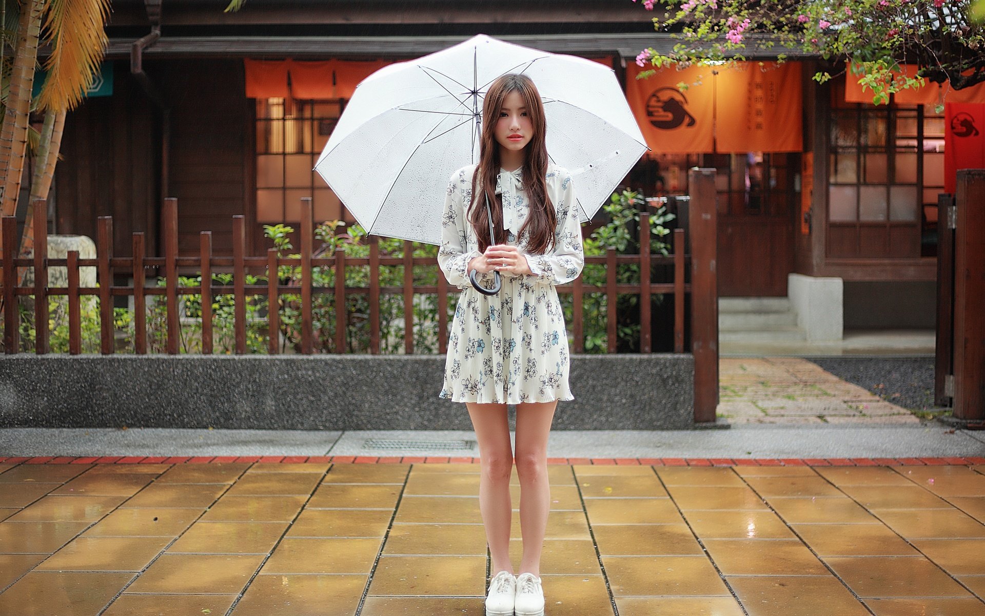 Обои девушка, платье, дождь, ножки, волосы, лицо, зонтик, girl, dress, rain, legs, hair, face, umbrella разрешение 2880x1920 Загрузить