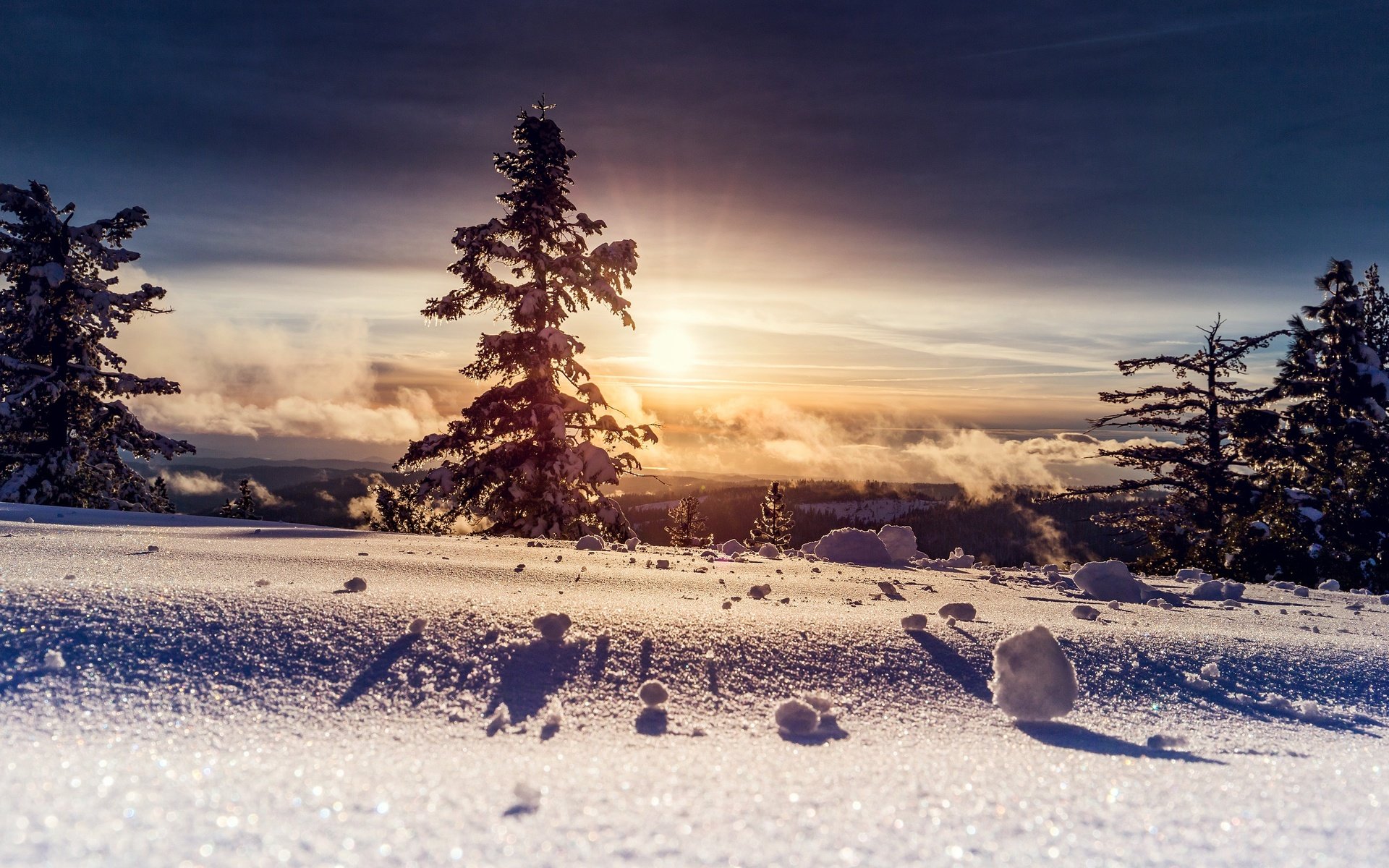 Обои деревья, солнце, снег, зима, фото, trees, the sun, snow, winter, photo разрешение 2880x1800 Загрузить