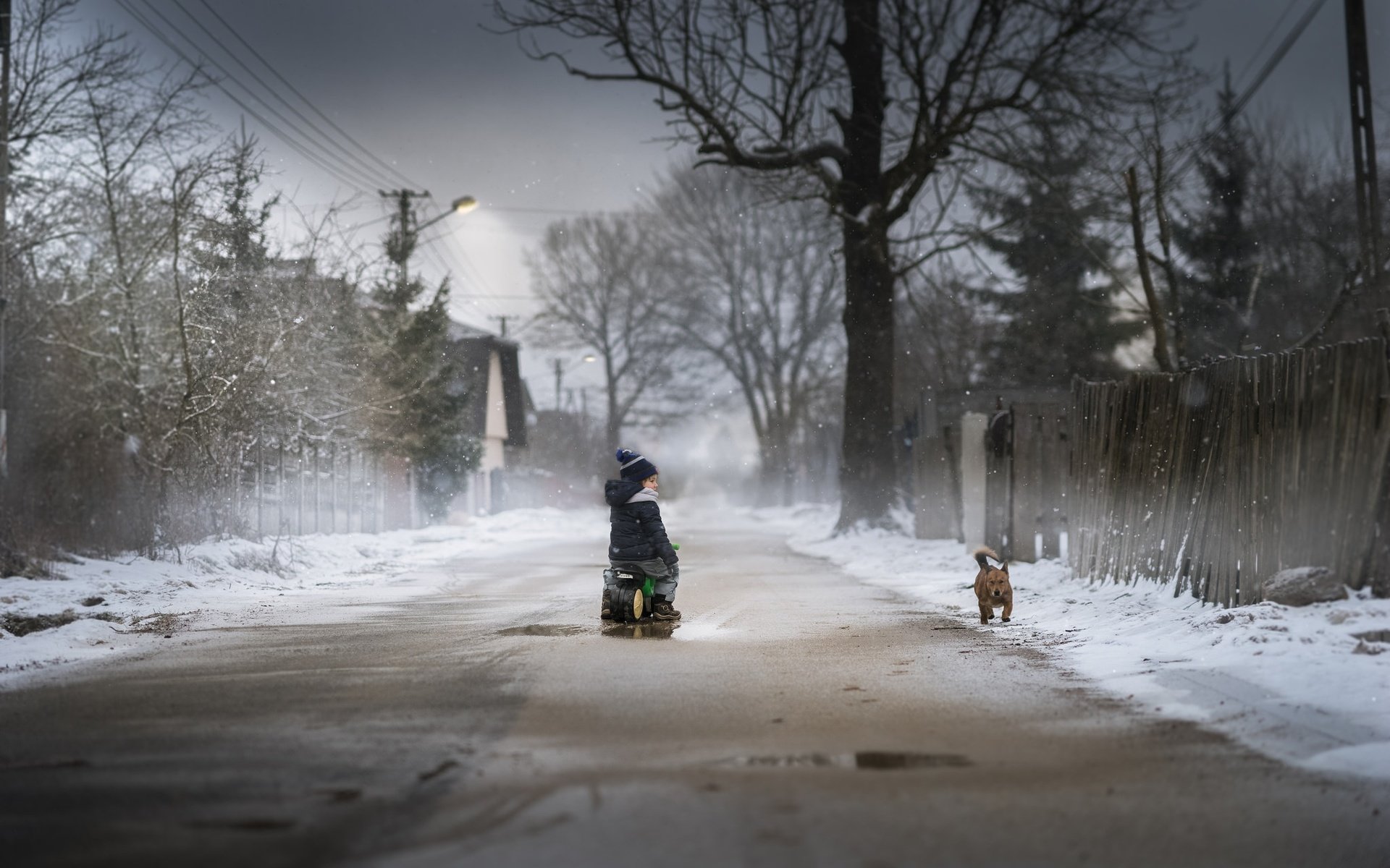 Обои дорога, снег, зима, собака, дети, мальчик, road, snow, winter, dog, children, boy разрешение 2048x1365 Загрузить