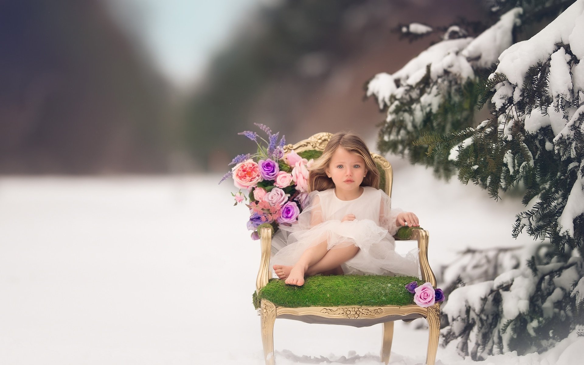 Обои цветы, кресло, снег, зима, настроение, розы, дети, девочка, ель, flowers, chair, snow, winter, mood, roses, children, girl, spruce разрешение 2048x1421 Загрузить