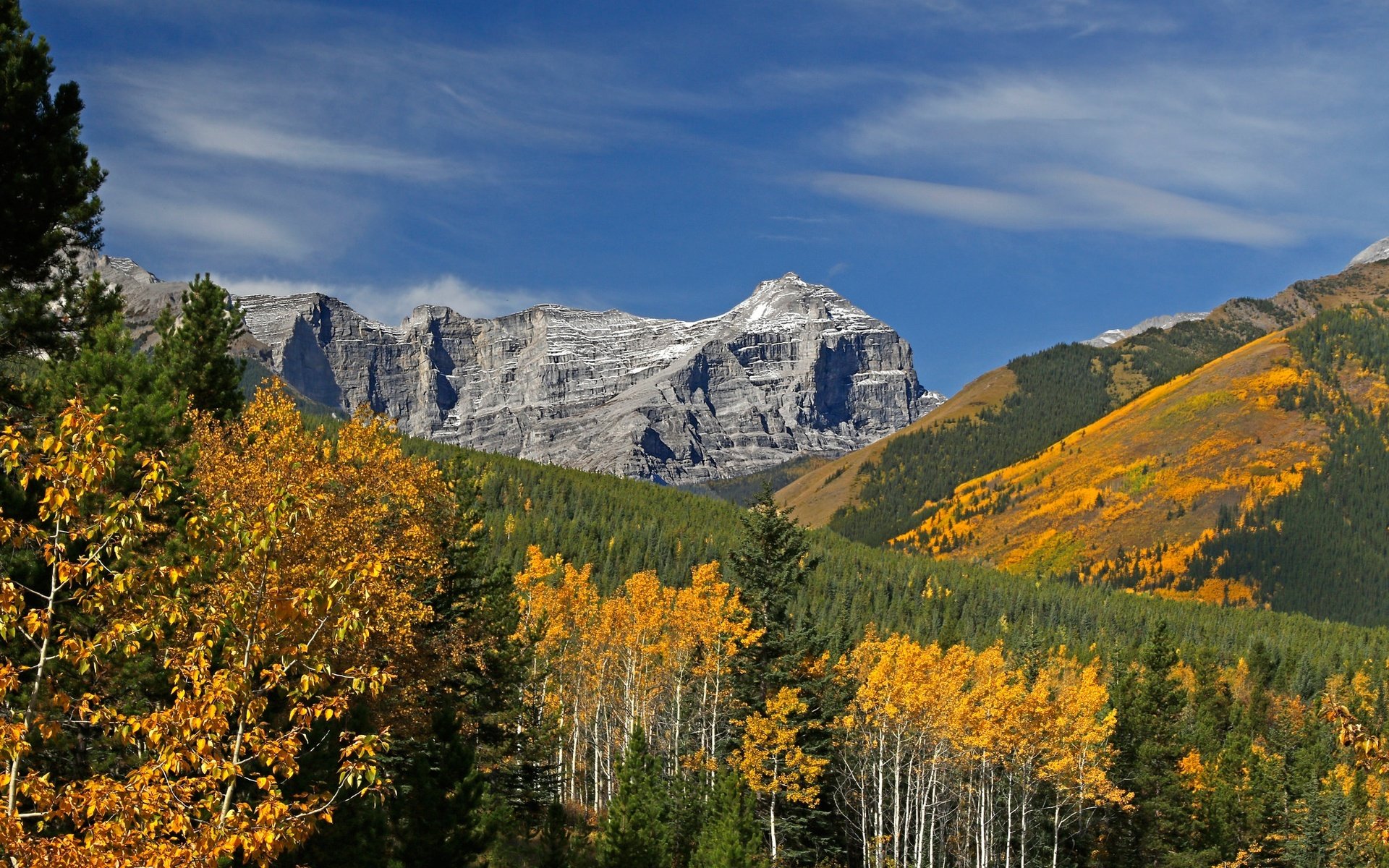 Обои деревья, горы, осень, канада, альберта, кананаскис, trees, mountains, autumn, canada, albert, kananaskis разрешение 2048x1365 Загрузить