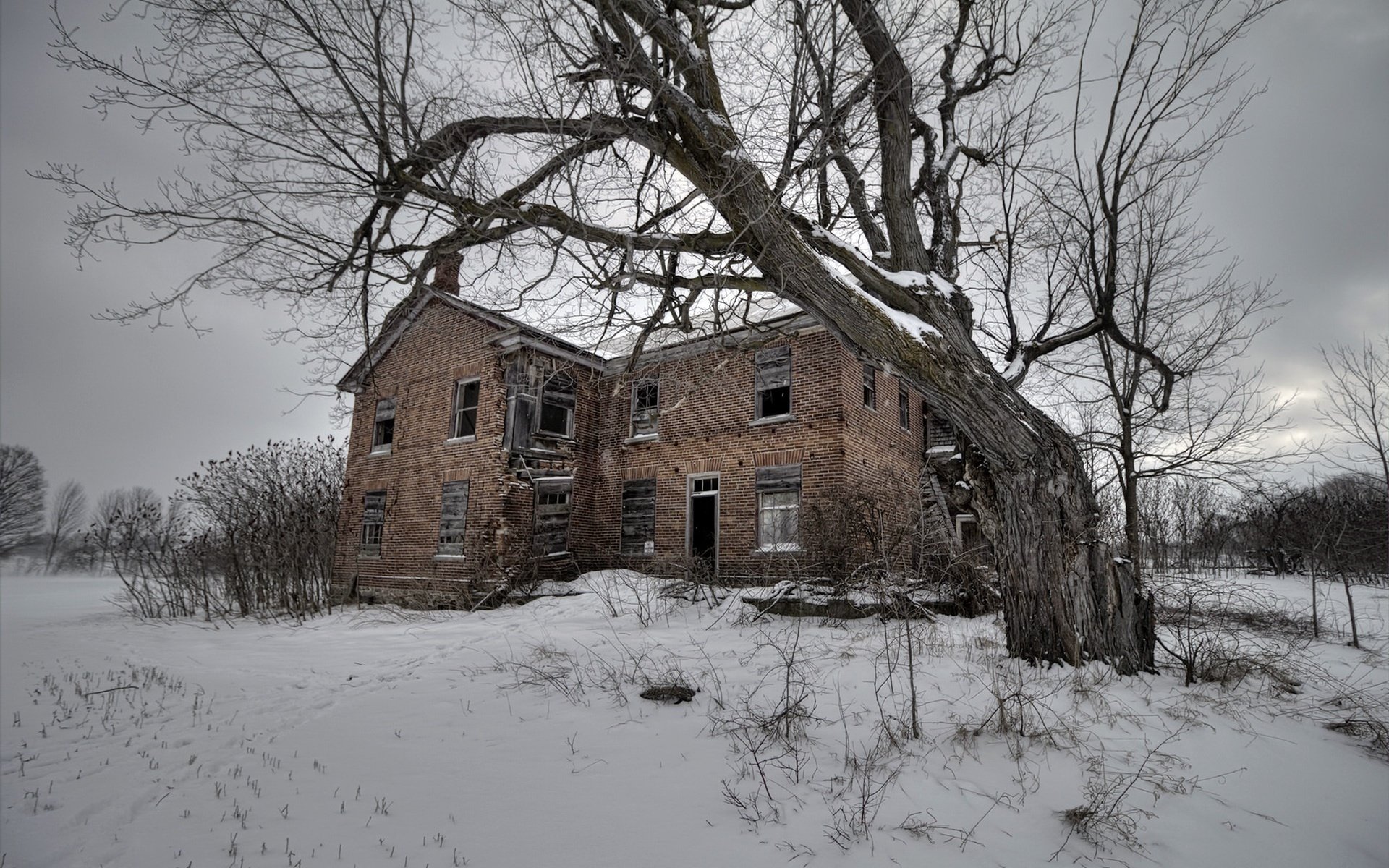 Обои снег, дерево, зима, поле, дом, snow, tree, winter, field, house разрешение 1920x1213 Загрузить