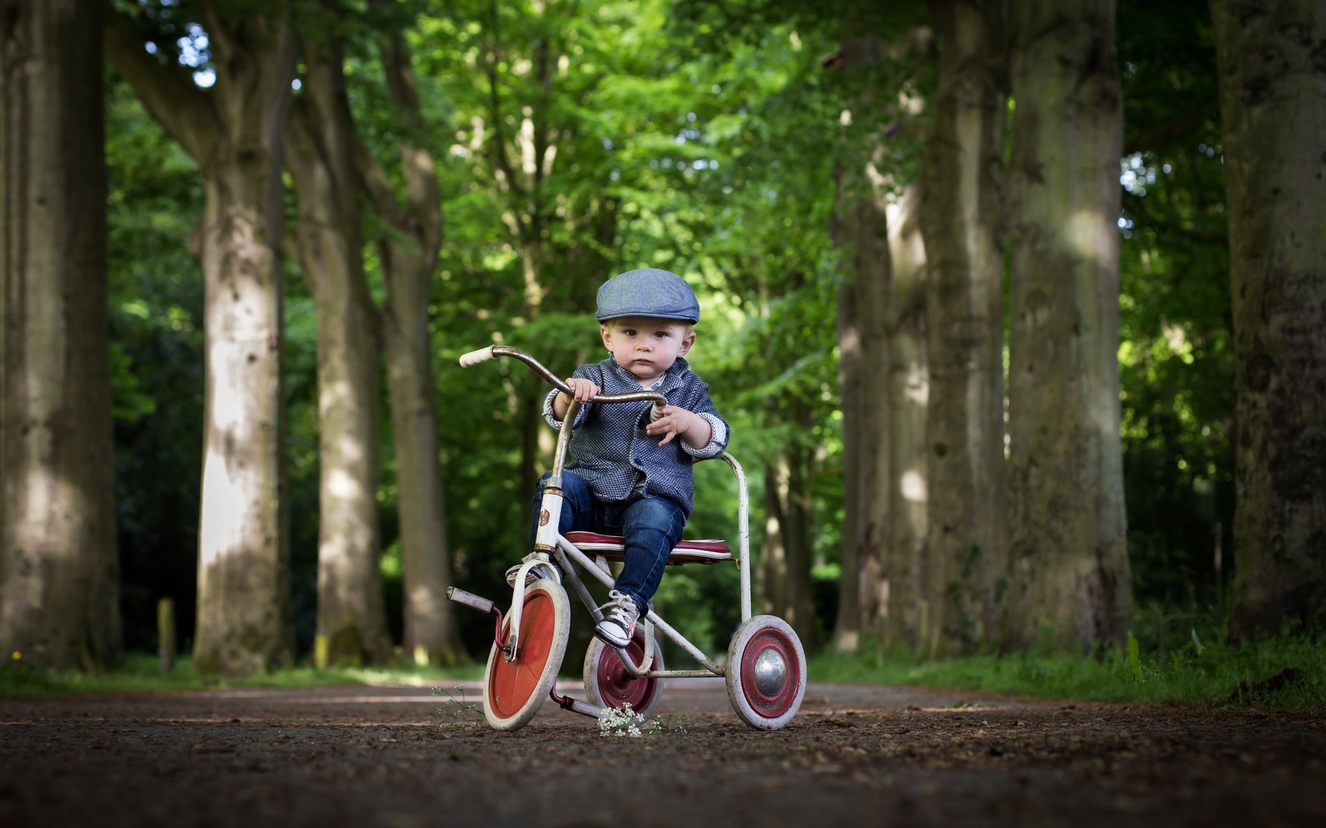 Обои взгляд, ребенок, мальчик, велосипед, кепка, look, child, boy, bike, cap разрешение 2560x1707 Загрузить