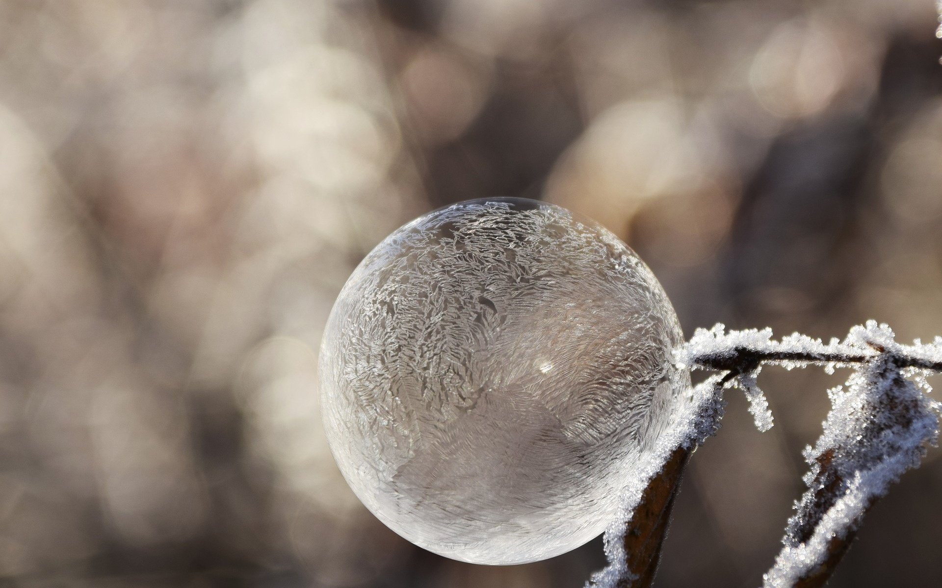 Обои зима, настроение, мороз, иней, пузырь, мыльный пузырь, winter, mood, frost, bubble разрешение 1920x1312 Загрузить