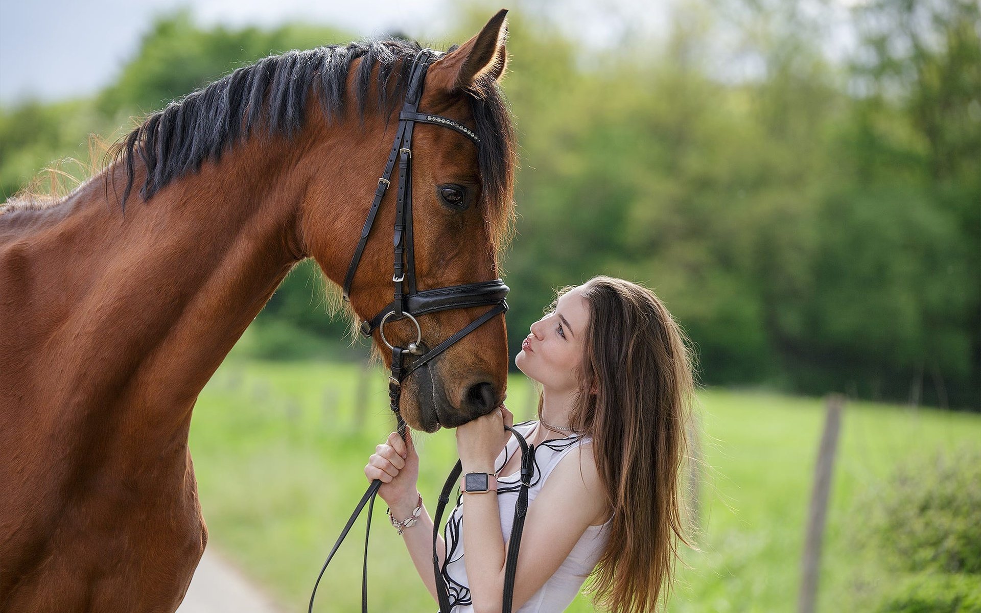 Обои лошадь, девушка, профиль, конь, грива, друзья, horse, girl, profile, mane, friends разрешение 2000x1333 Загрузить