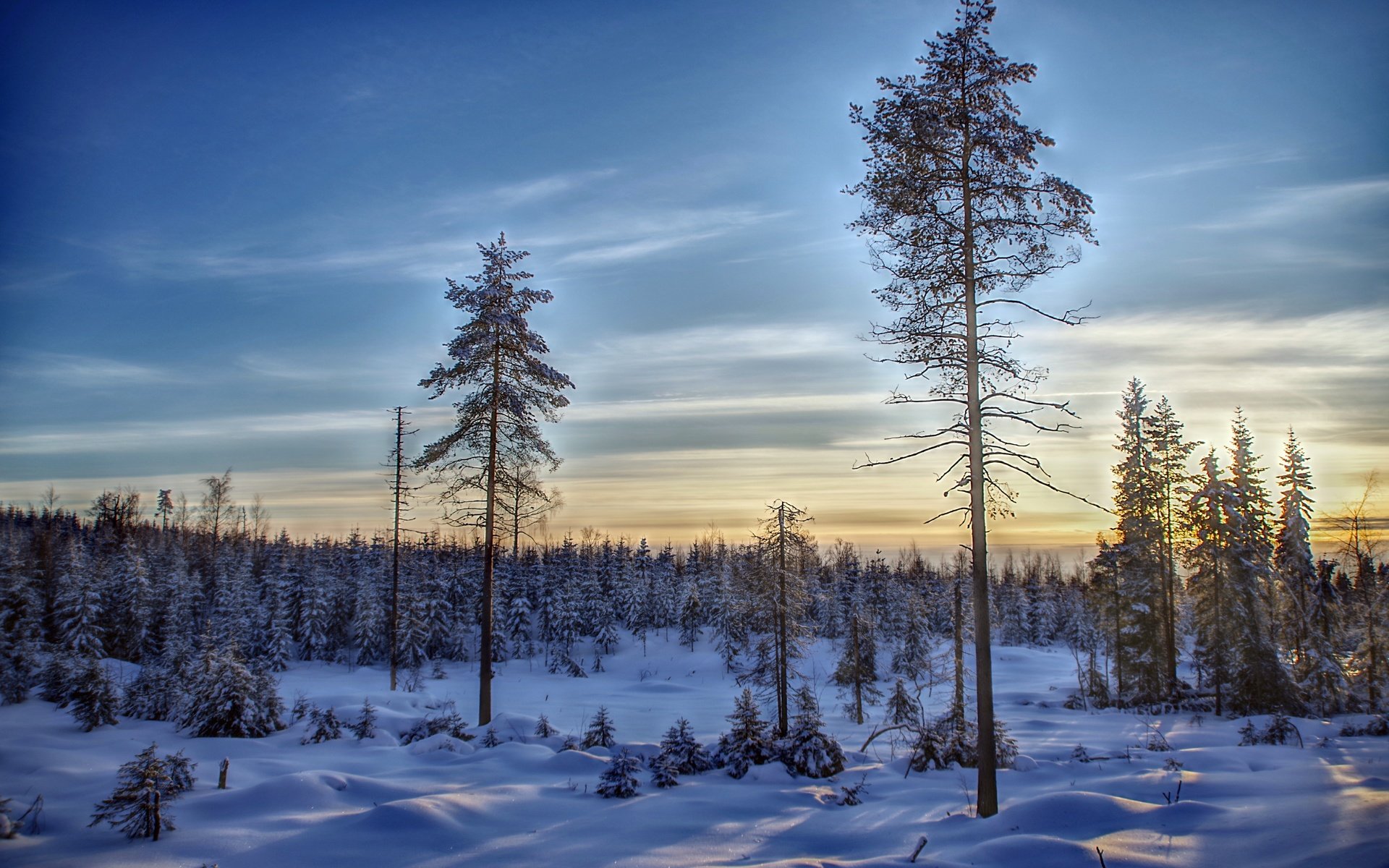 Обои небо, деревья, снег, лес, зима, финляндия, the sky, trees, snow, forest, winter, finland разрешение 6000x4004 Загрузить