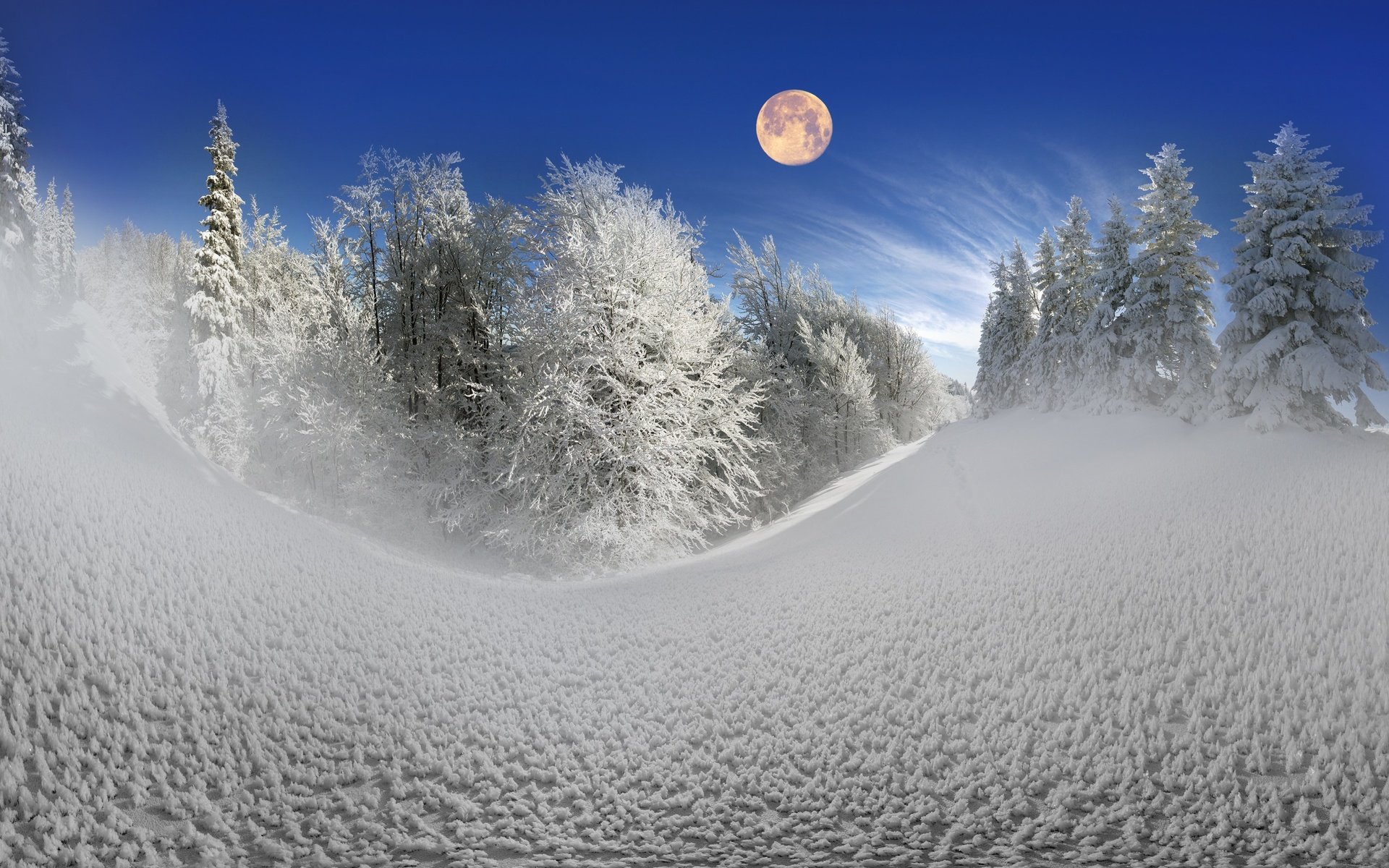 Обои небо, деревья, снег, природа, лес, зима, луна, сугробы, the sky, trees, snow, nature, forest, winter, the moon, the snow разрешение 2880x1800 Загрузить