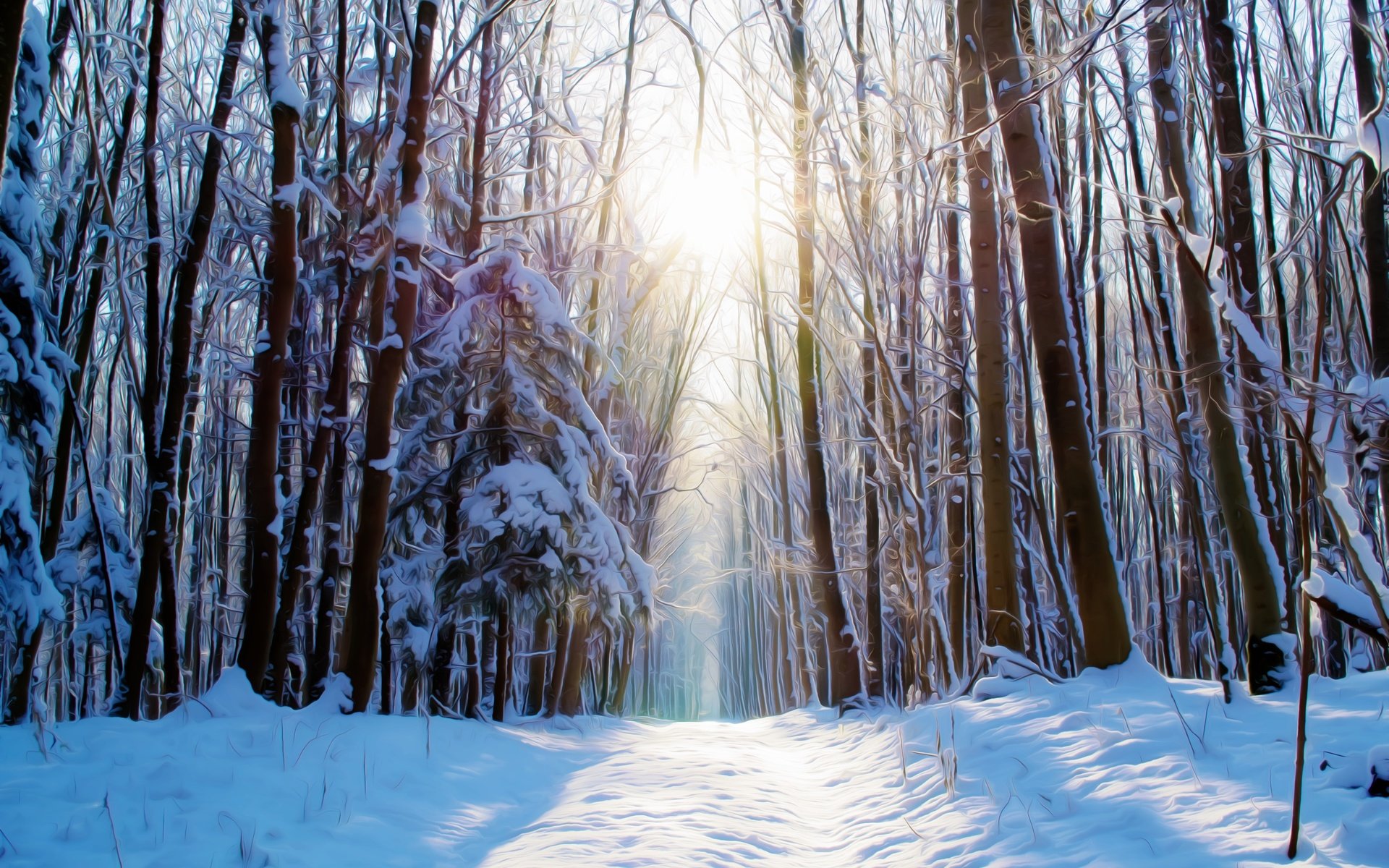 Обои дорога, деревья, снег, лес, зима, солнечный свет, road, trees, snow, forest, winter, sunlight разрешение 4608x3072 Загрузить