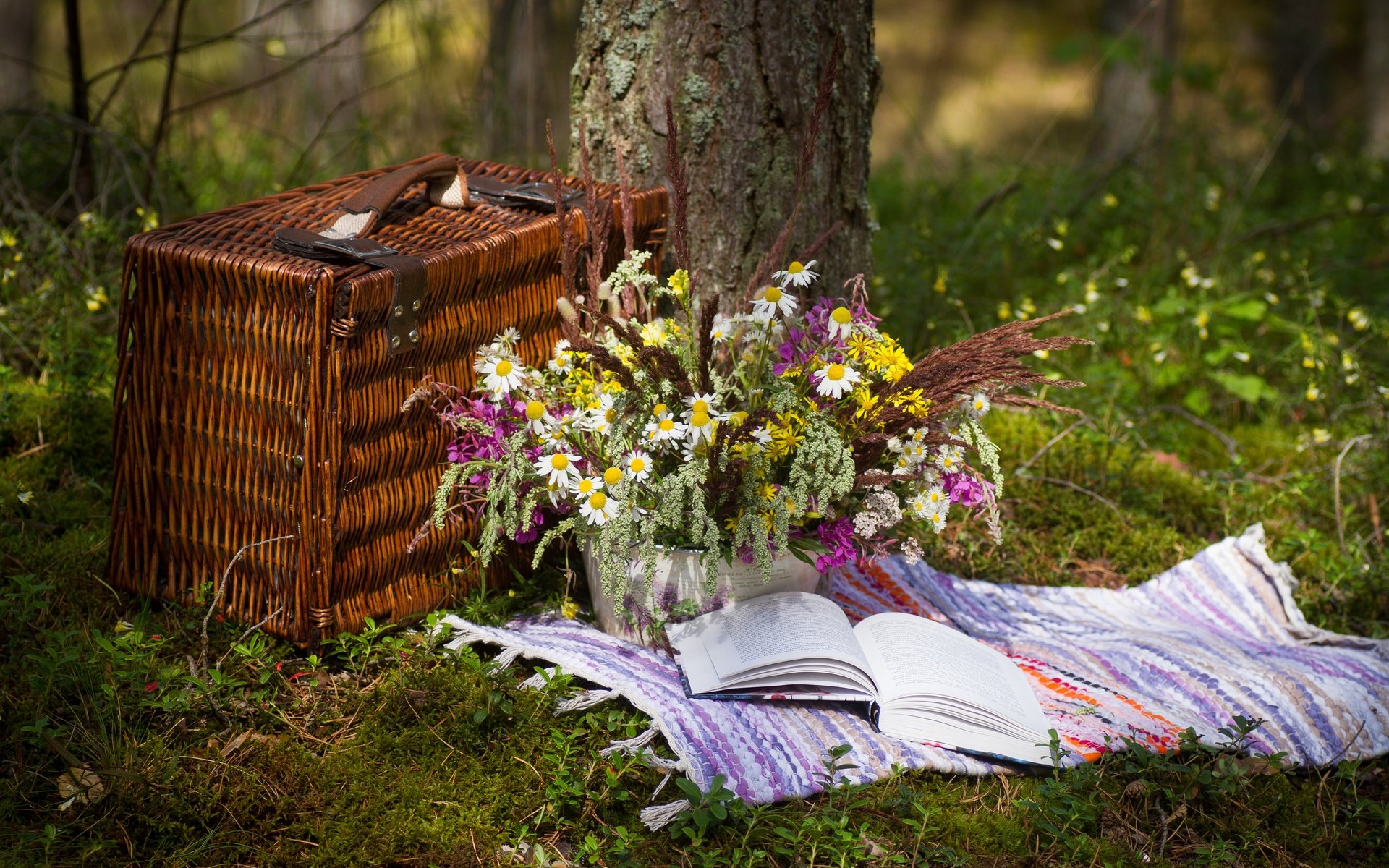 Обои цветы, коврик, трава, природа, букет, корзина, полевые цветы, книга, пикник, flowers, mat, grass, nature, bouquet, basket, wildflowers, book, picnic разрешение 5184x3456 Загрузить