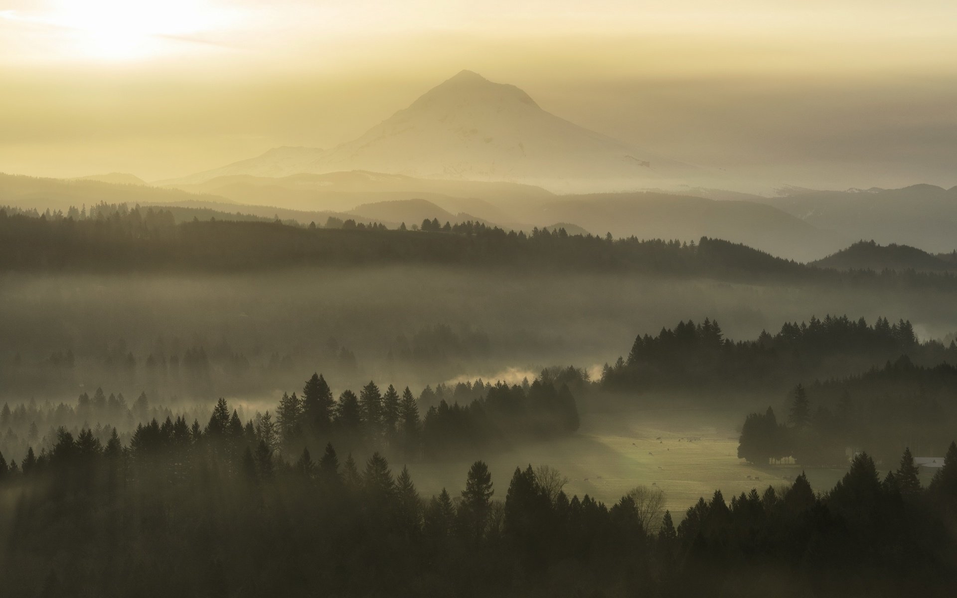 Обои природа, утро, туман, nature, morning, fog разрешение 3840x2160 Загрузить