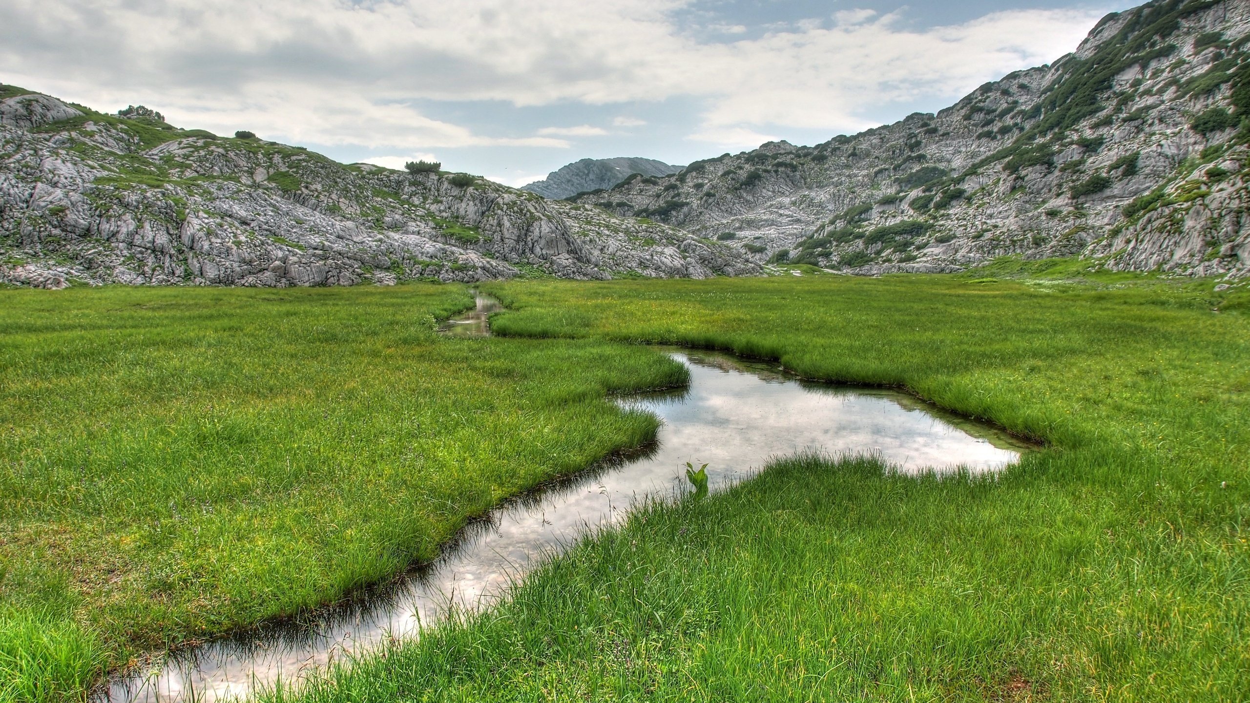 Обои трава, горы, природа, ручей, пейзаж., grass, mountains, nature, stream, landscape. разрешение 2560x1600 Загрузить