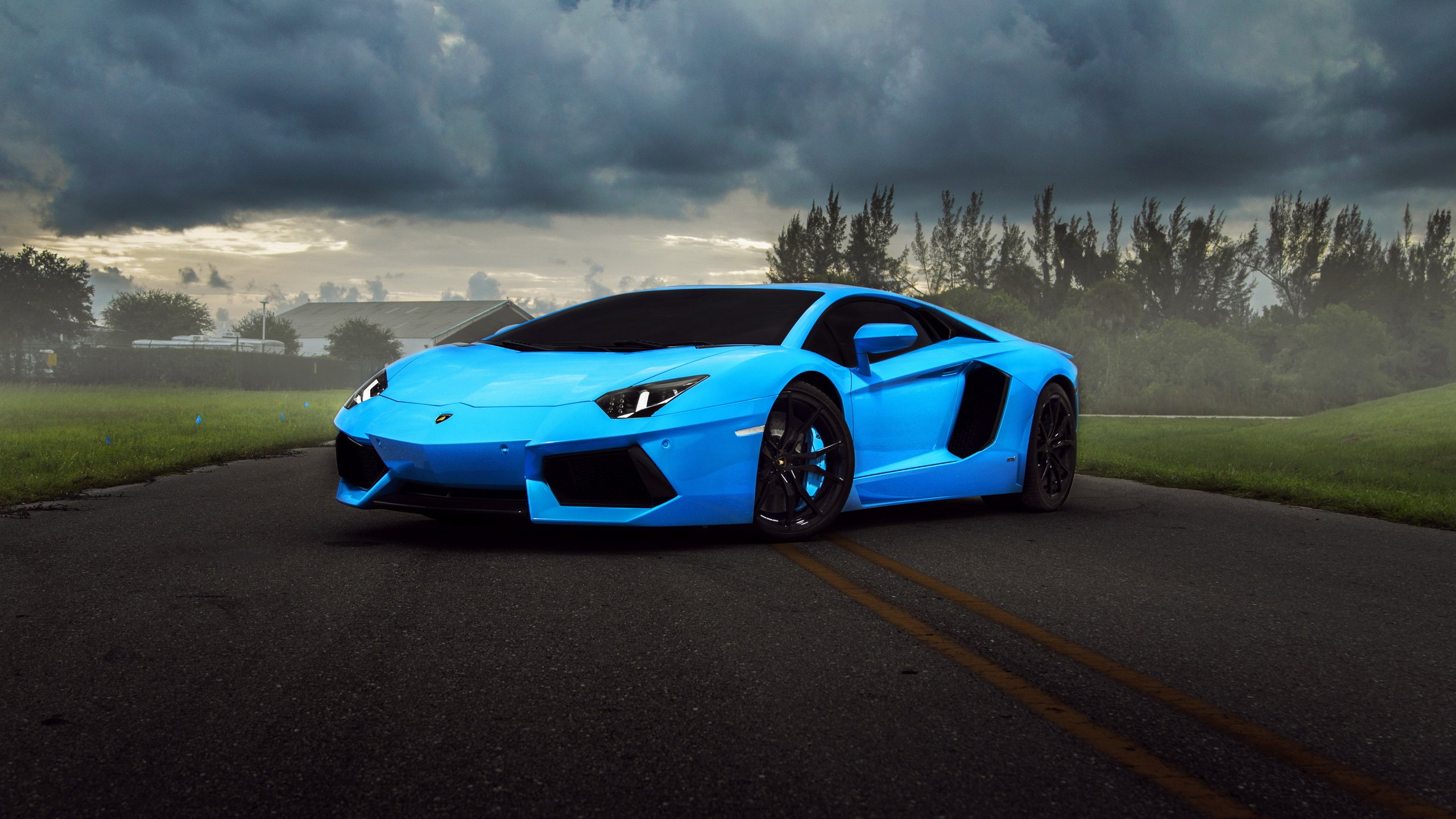 Обои синий, улица, ламборджини авентадор, blue, street, lamborghini aventador разрешение 5000x3125 Загрузить