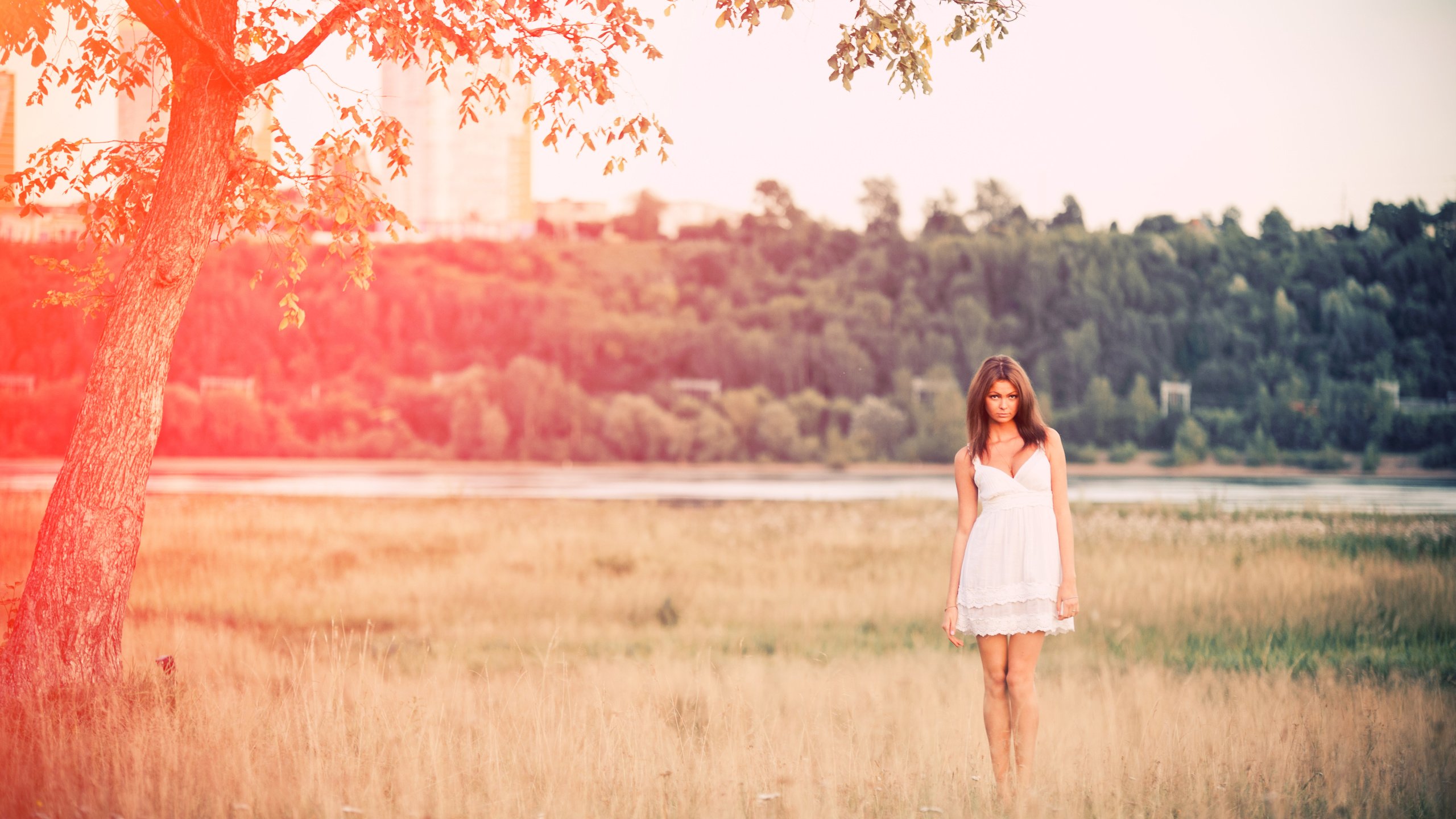 Обои природа, девушка, платье, поле, лето, nature, girl, dress, field, summer разрешение 4256x2832 Загрузить