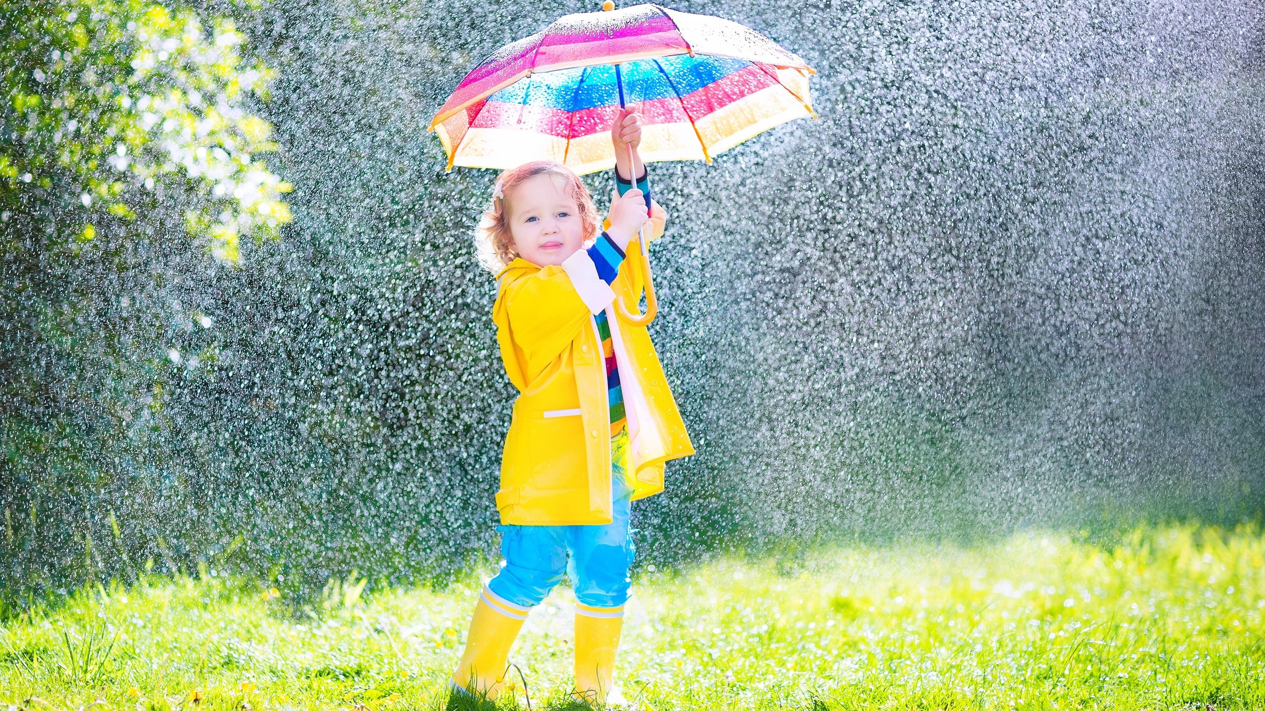 Обои девочка, дождь, зонт, ребенок, girl, rain, umbrella, child разрешение 5000x3333 Загрузить