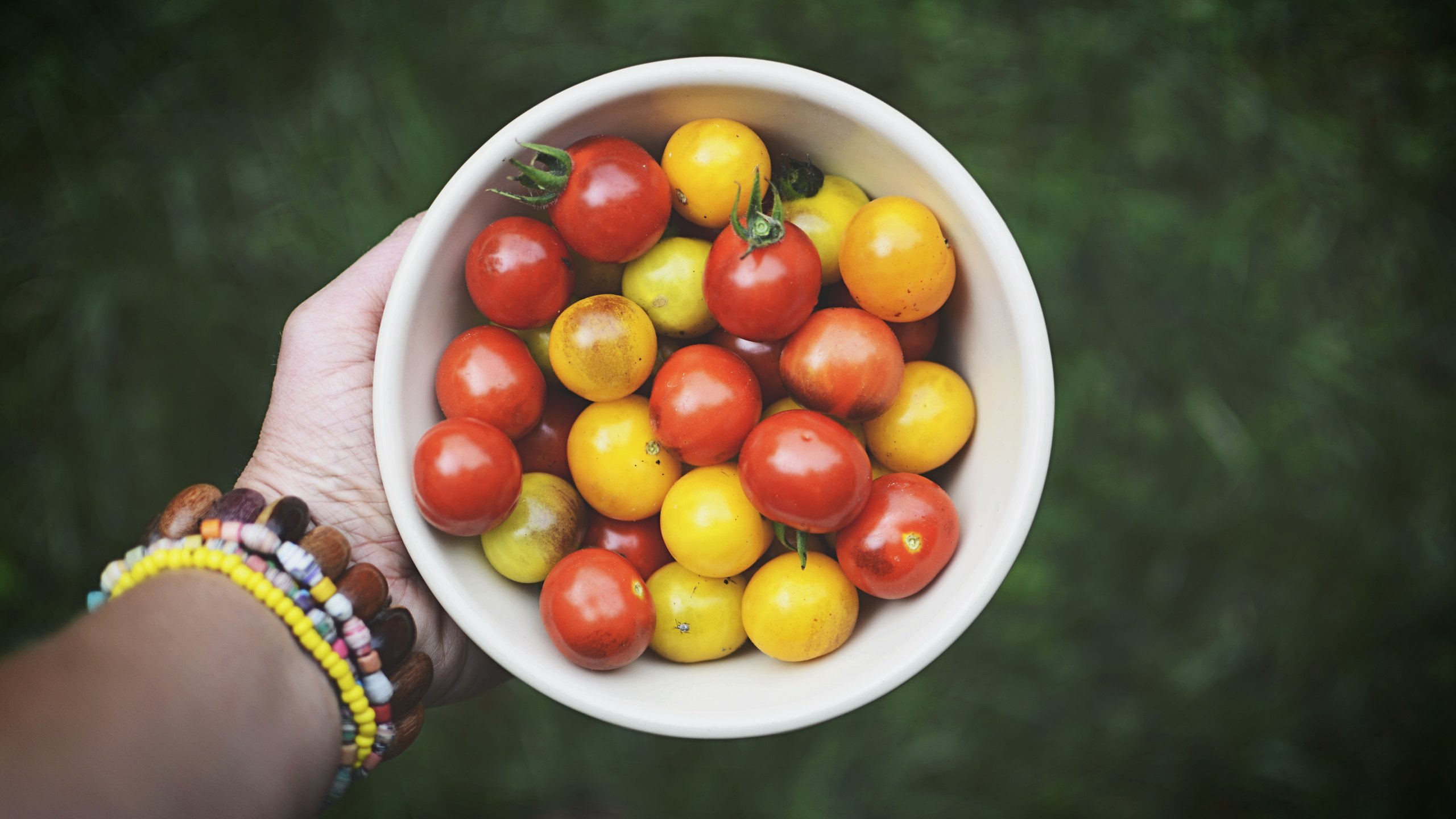 Обои рука, овощи, помидоры, томаты, hand, vegetables, tomatoes разрешение 6000x4000 Загрузить