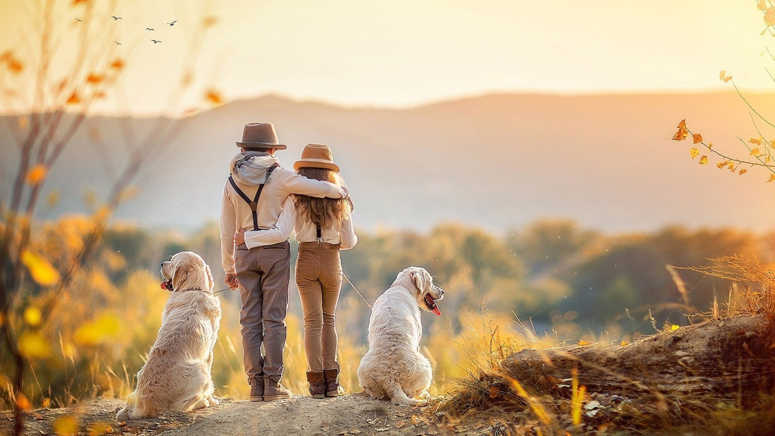 Обои осень, дети, девочка, мальчик, собаки, autumn, children, girl, boy, dogs разрешение 2560x1600 Загрузить