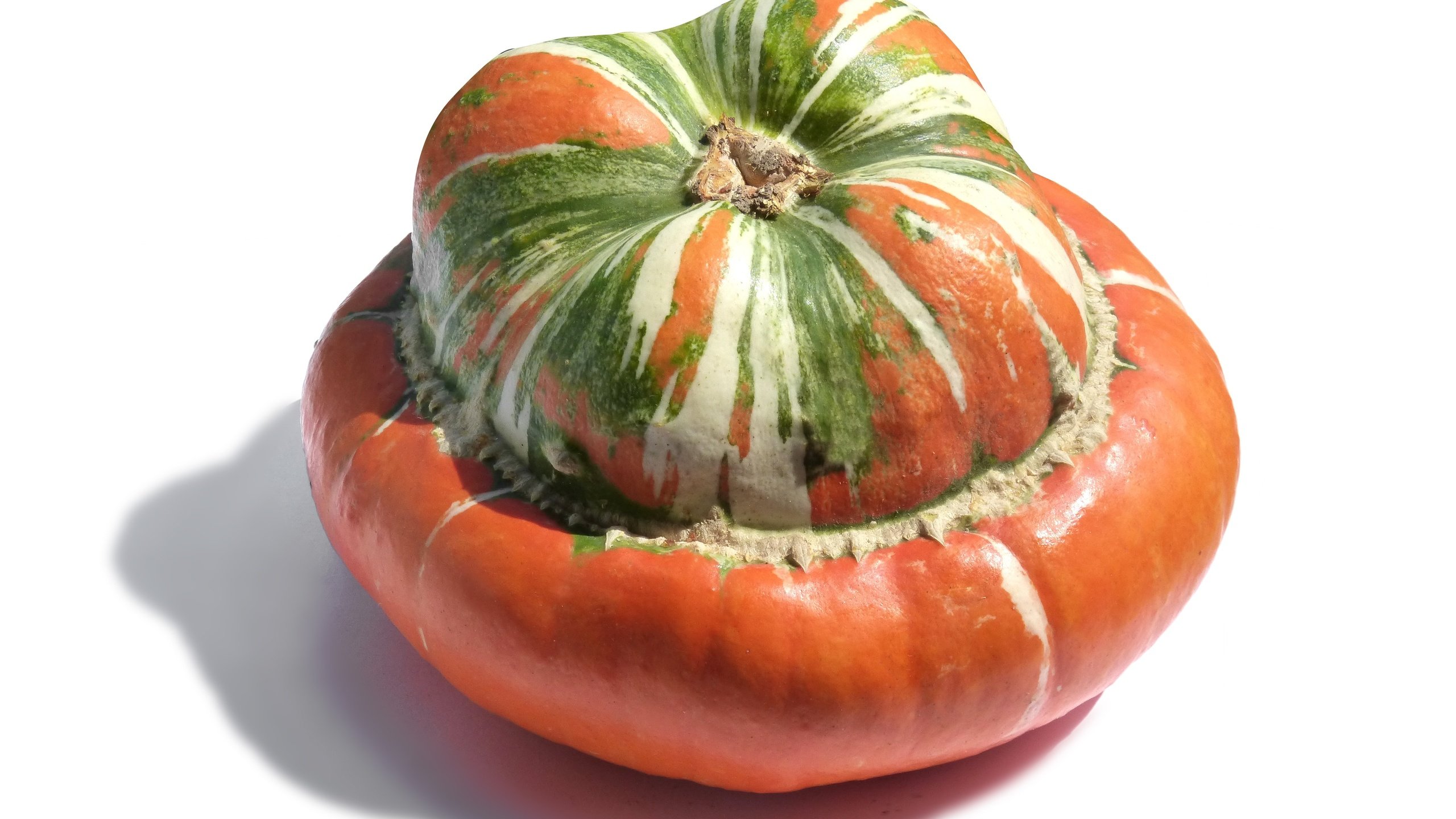 Обои тыква, pumpkin разрешение 4608x3456 Загрузить