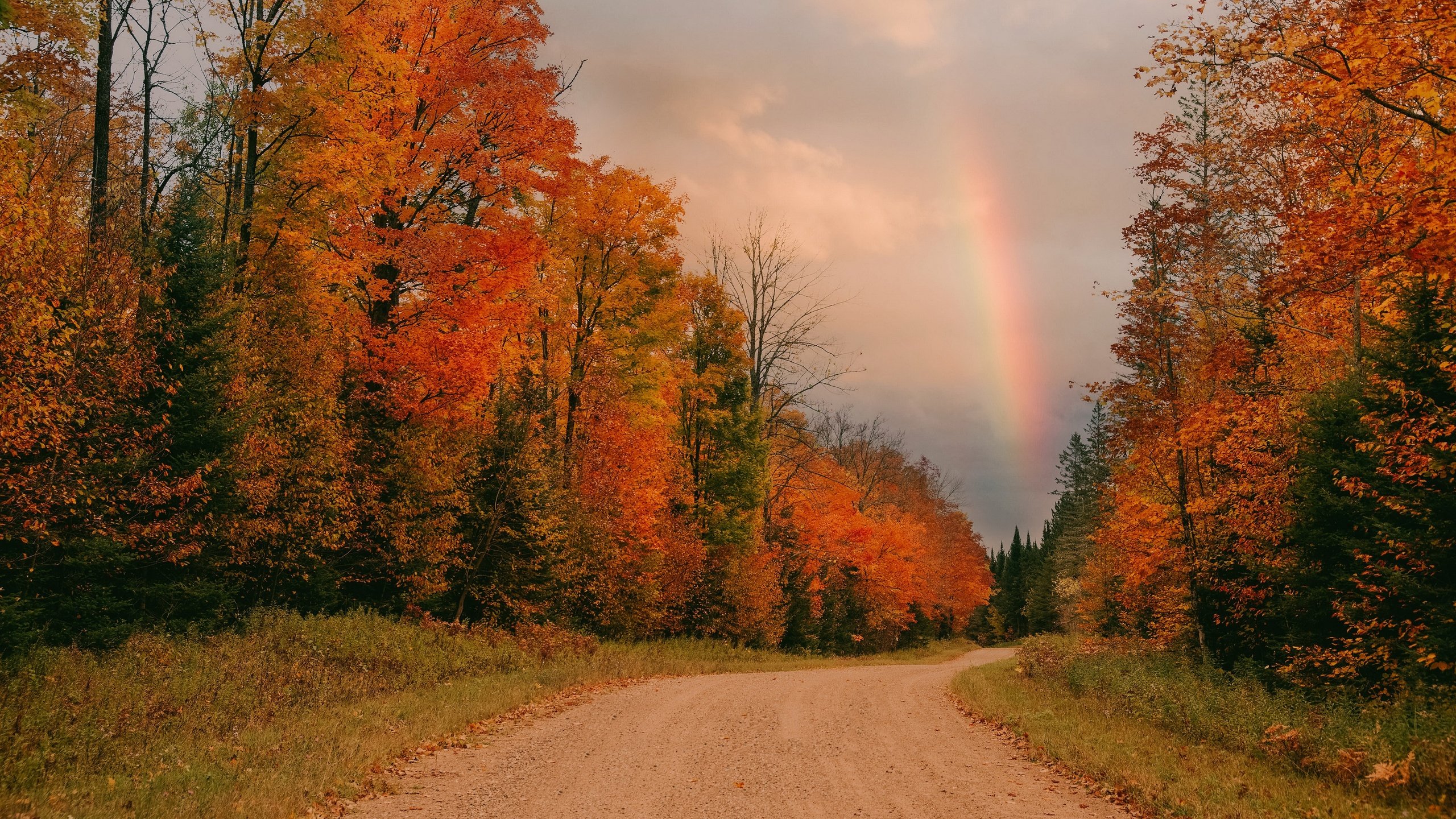 Обои дорога, осень, радуга, road, autumn, rainbow разрешение 3840x2160 Загрузить