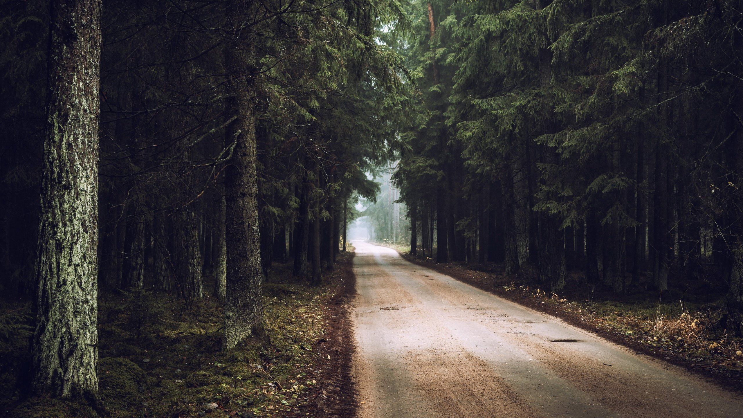 Обои дорога, лес, осень, road, forest, autumn разрешение 3840x2160 Загрузить