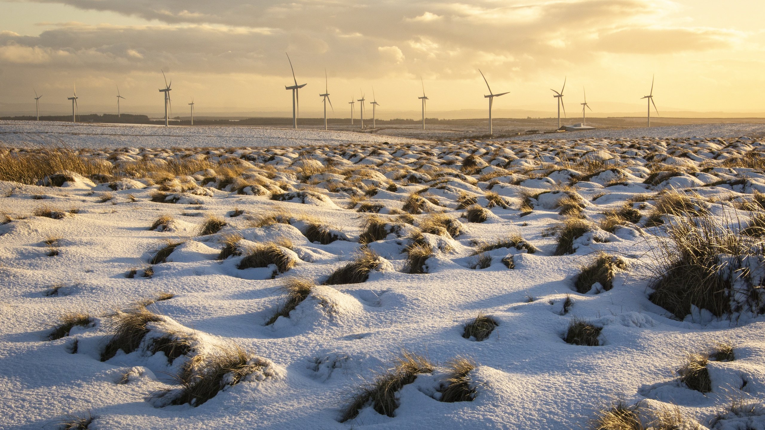 Обои снег, поле, ветряки, snow, field, windmills разрешение 5351x3567 Загрузить