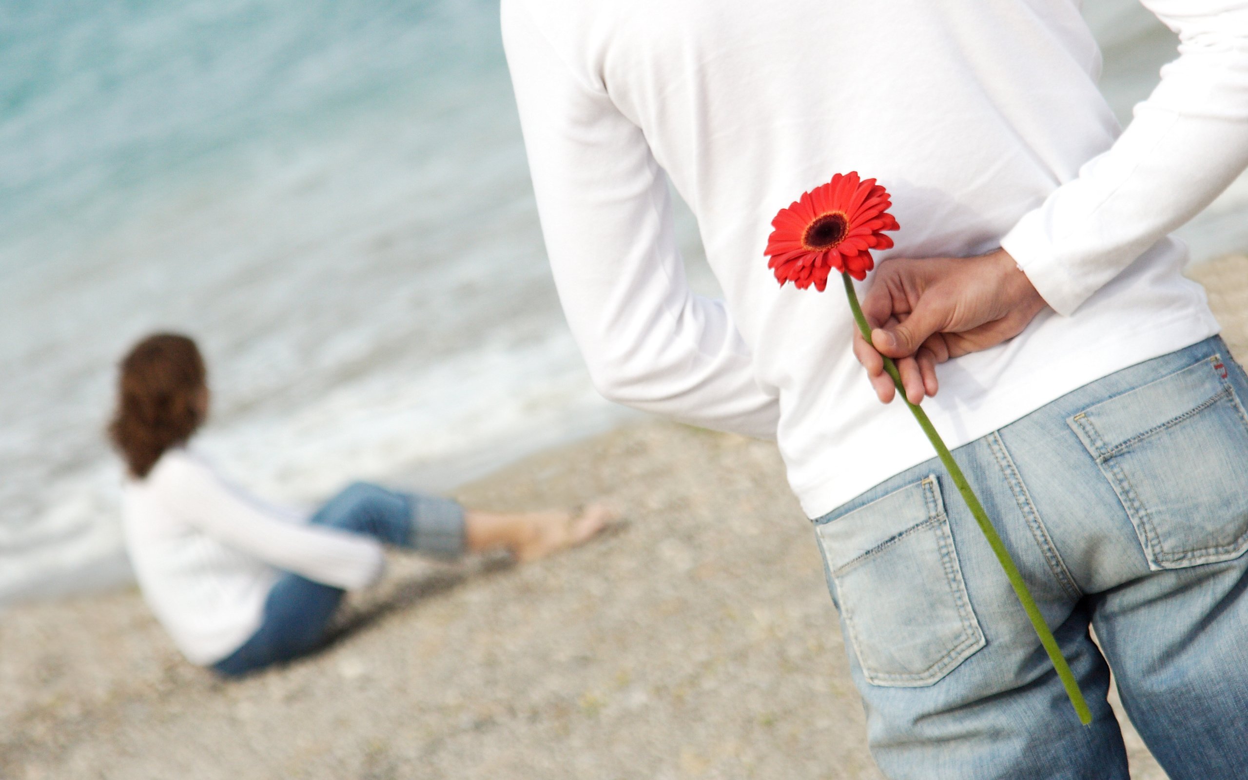 Обои цветок, пляж, любовь, романтика, пара, flower, beach, love, romance, pair разрешение 3276x2336 Загрузить