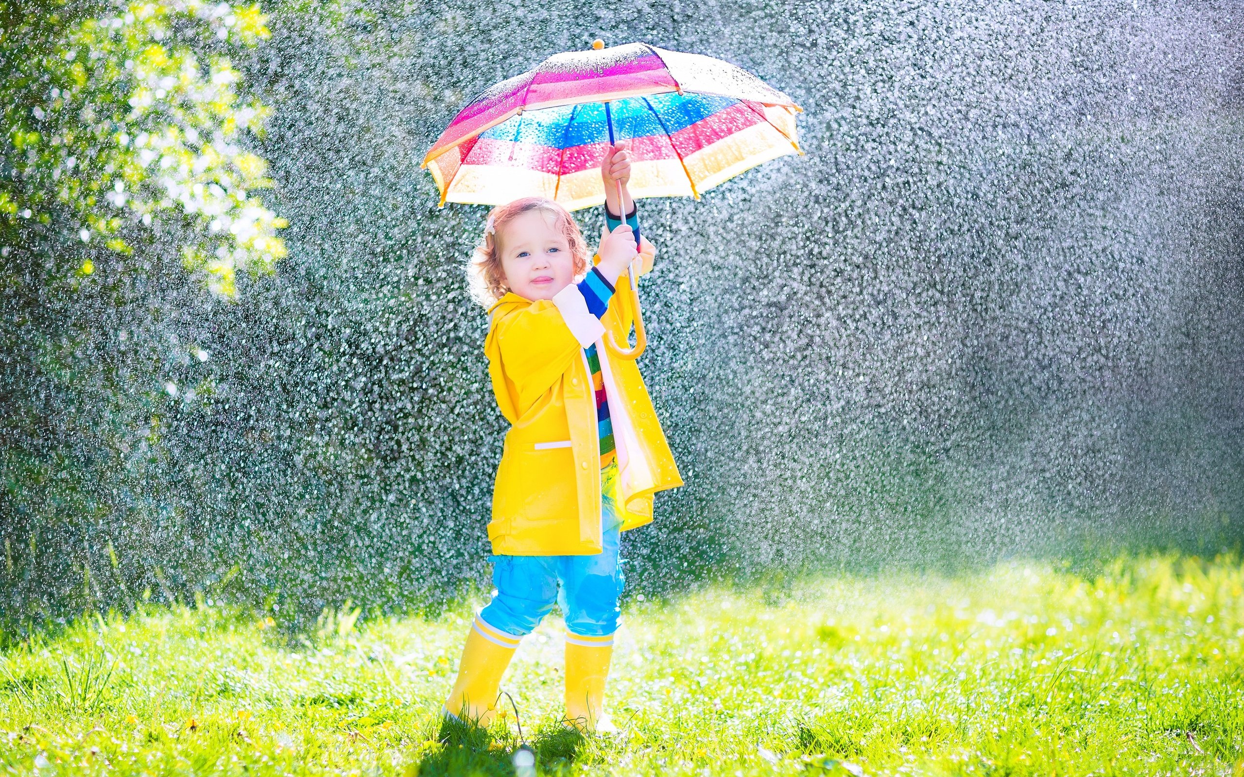 Обои девочка, дождь, зонт, ребенок, girl, rain, umbrella, child разрешение 5000x3333 Загрузить