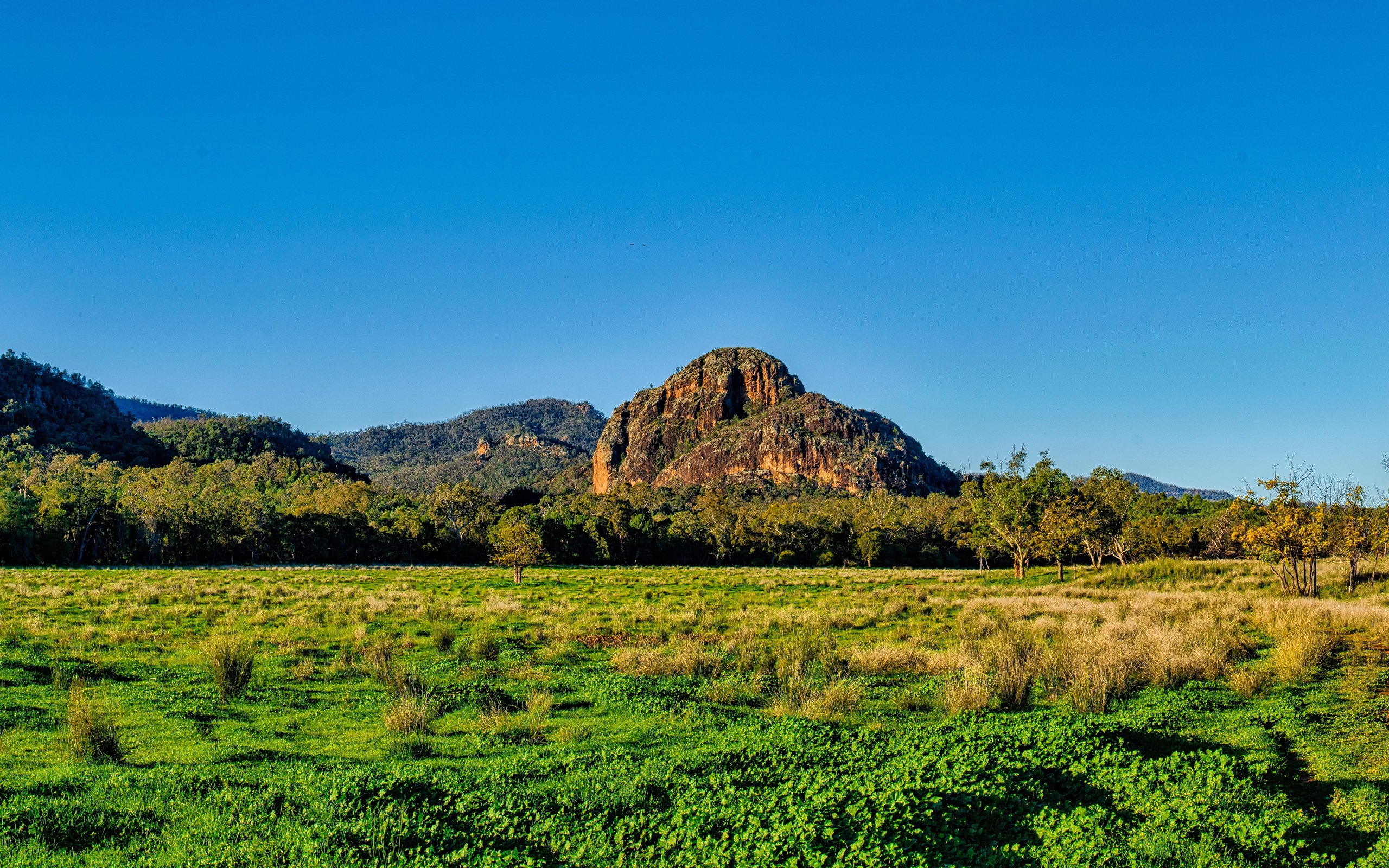 Обои небо, равнина, трава, австралия, деревья, warrumbungles national park, горы, скалы, солнце, лес, кусты, the sky, plain, grass, australia, trees, mountains, rocks, the sun, forest, the bushes разрешение 5100x3000 Загрузить