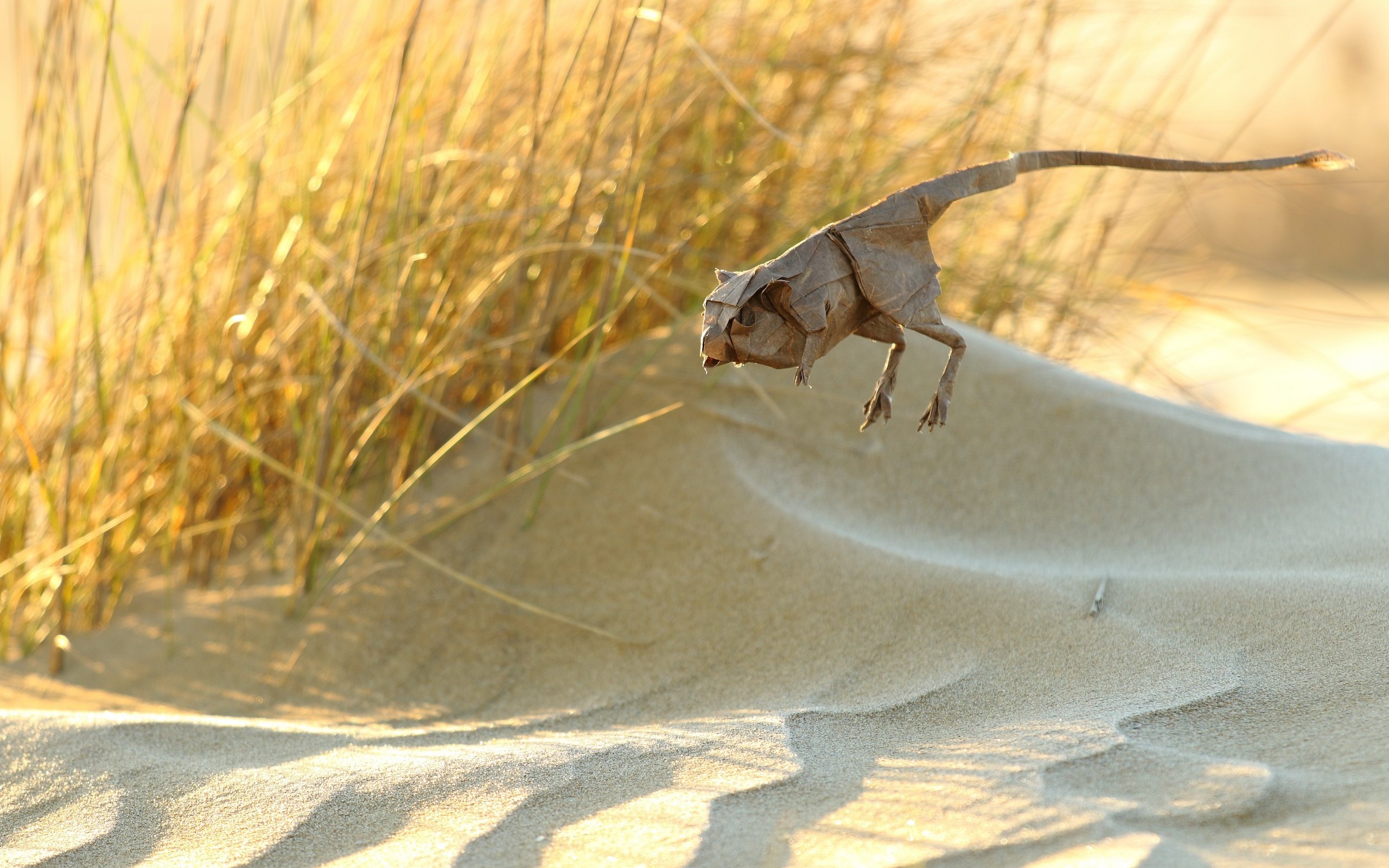 Обои бумага, оригами, животное, jerbo pigmeo de baluchistan, тушканчик, paper, origami, animal, jerboa разрешение 2560x1707 Загрузить