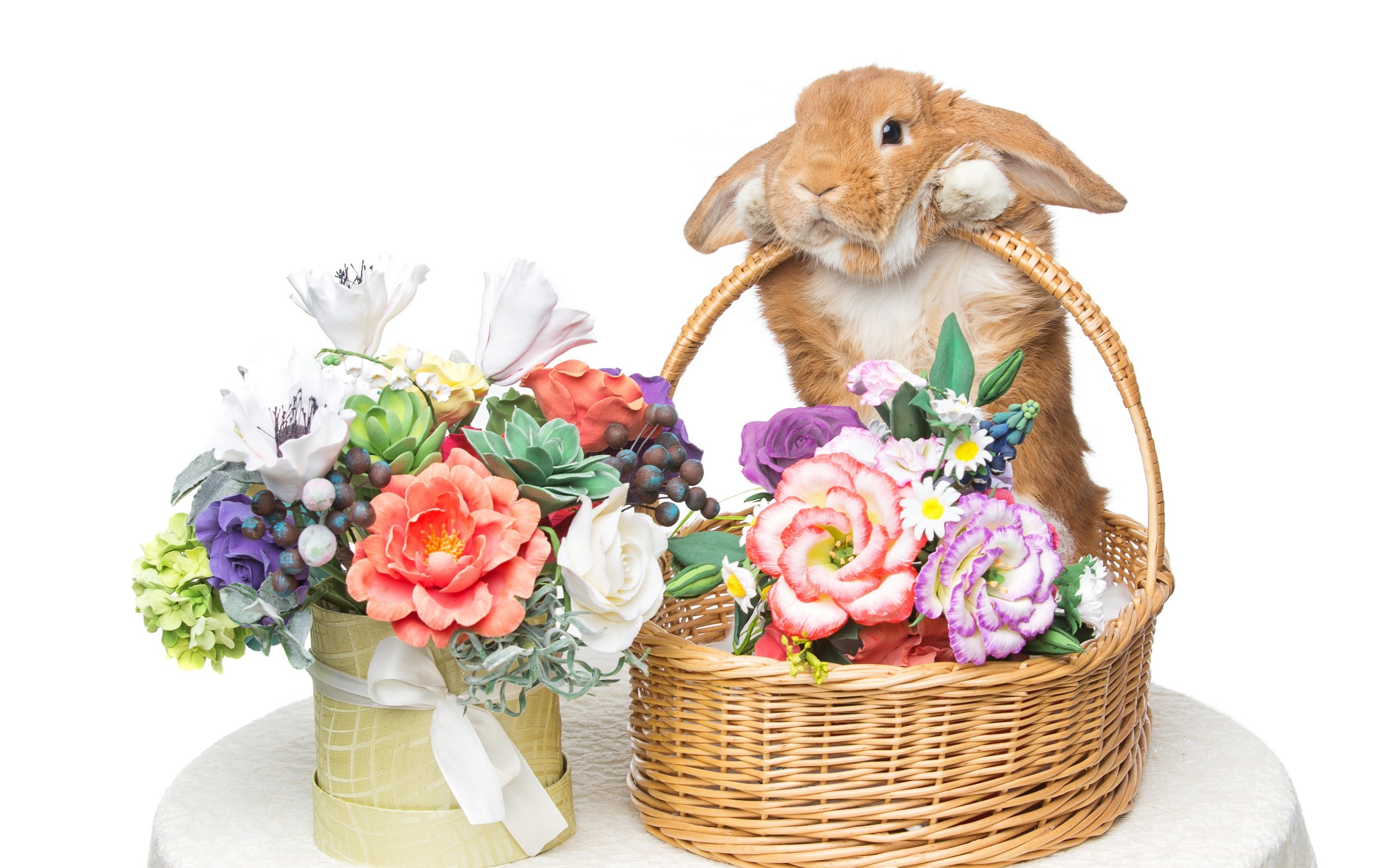 Обои цветы, корзина, кролик, пасха, букеты, flowers, basket, rabbit, easter, bouquets разрешение 5490x3660 Загрузить