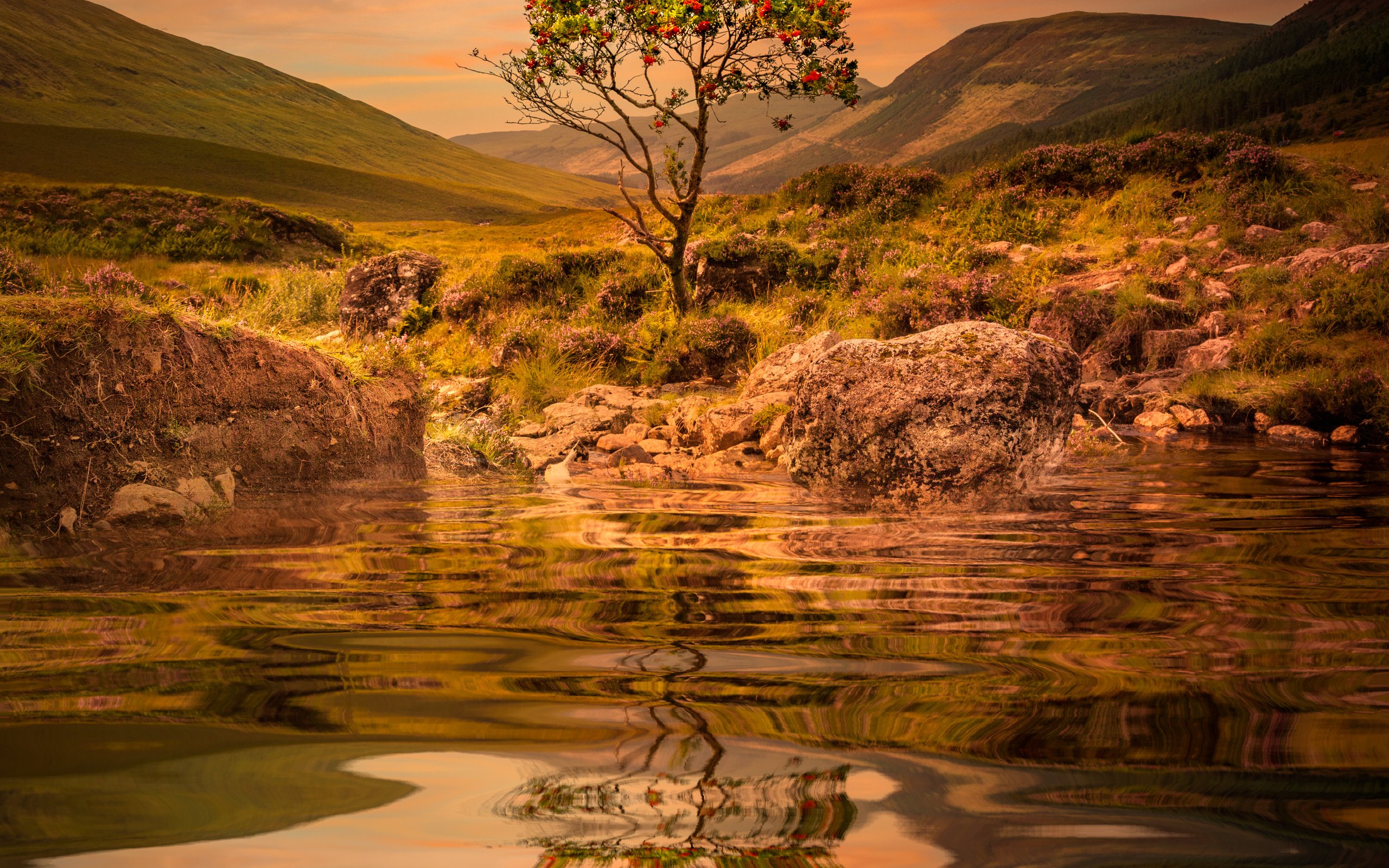 Обои вода, озеро, горы, дерево, закат, отражение, рябина, sophiaspurgin, water, lake, mountains, tree, sunset, reflection, rowan разрешение 4470x4470 Загрузить