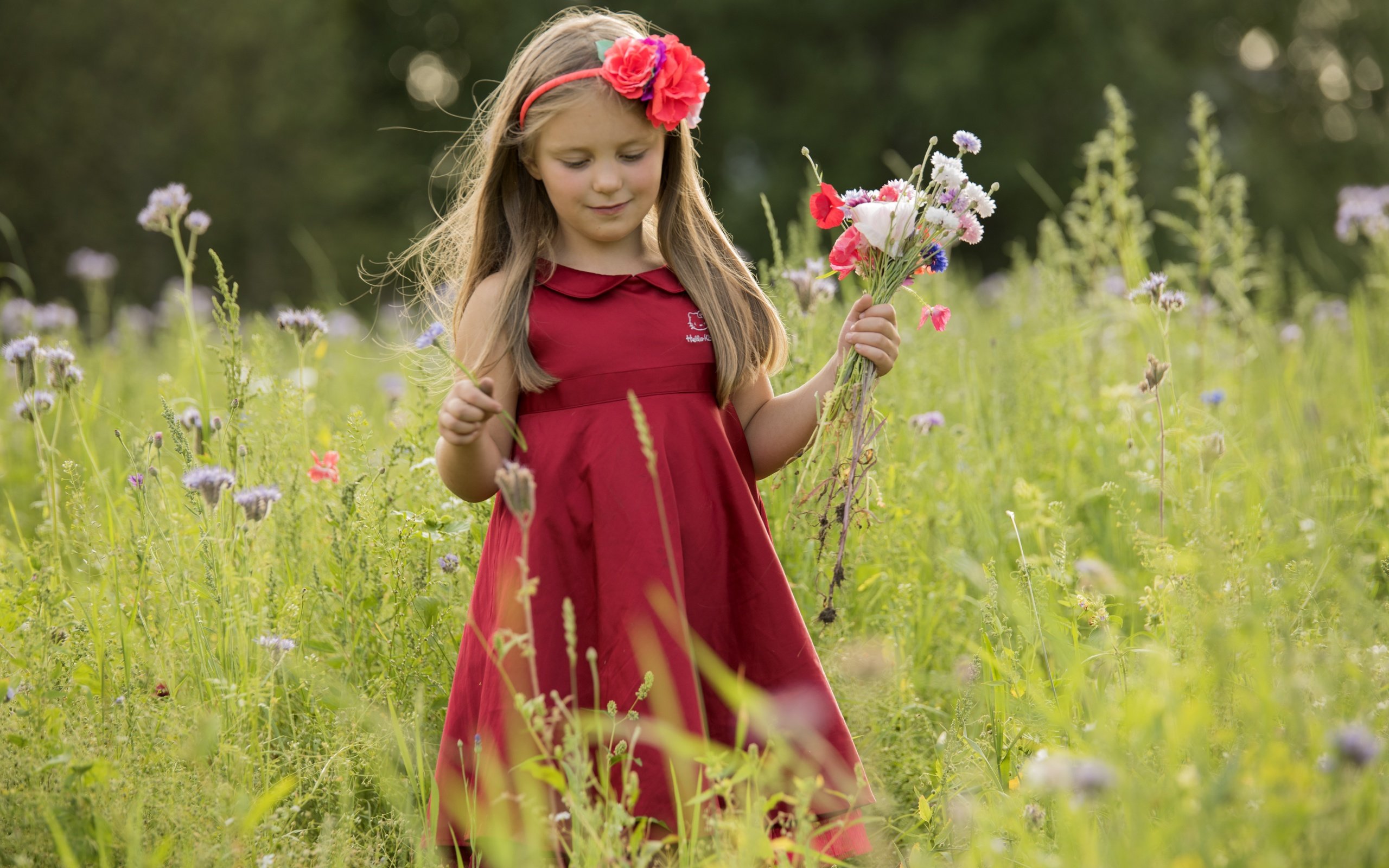 Обои цветы, природа, платье, лето, дети, девочка, волосы, лицо, flowers, nature, dress, summer, children, girl, hair, face разрешение 7360x4912 Загрузить