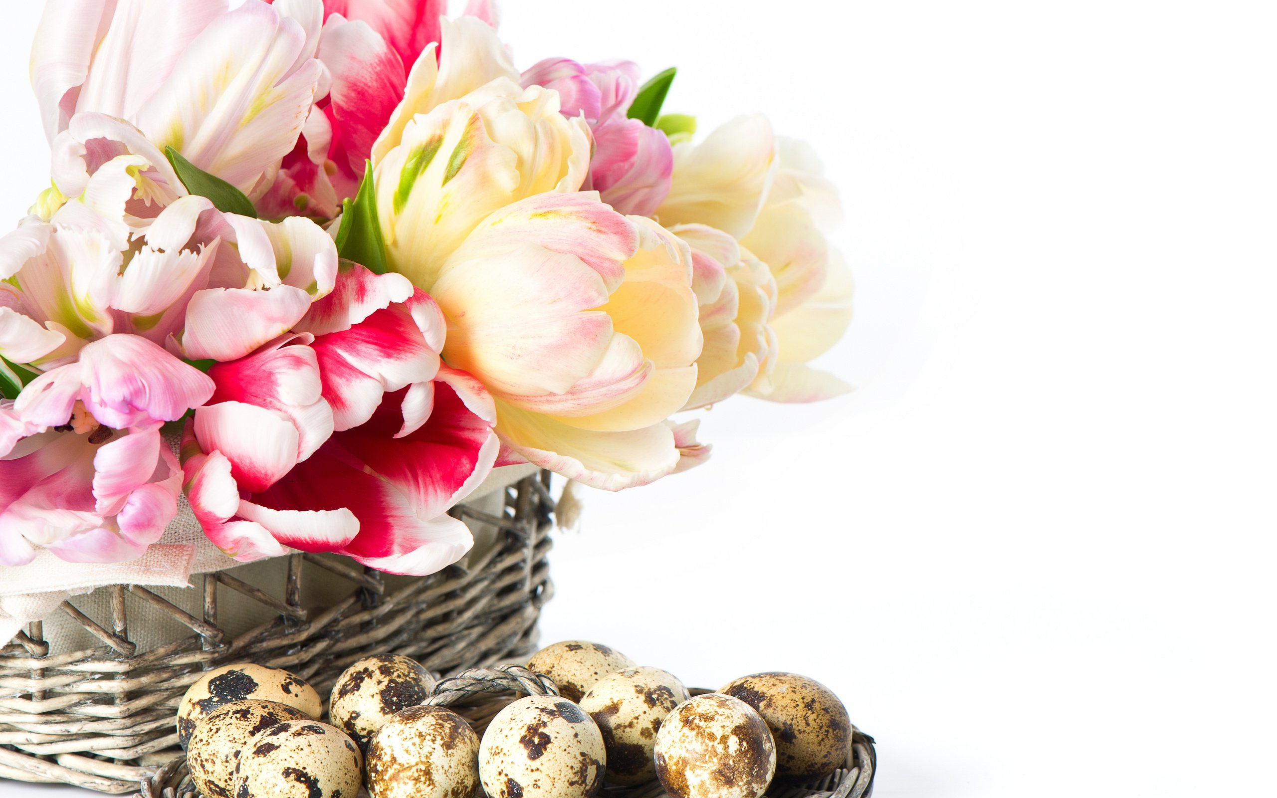 Обои цветы, тюльпаны, белый фон, пасха, яйца, корзинка, flowers, tulips, white background, easter, eggs, basket разрешение 7002x5664 Загрузить