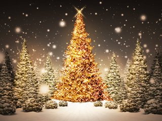 Обои огни, новый год, елка, украшения, lights, new year, tree, decoration разрешение 1920x1200 Загрузить