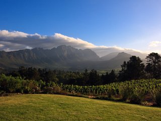 Обои горы, африка, виноградник, mountains, africa, vineyard разрешение 2560x1600 Загрузить