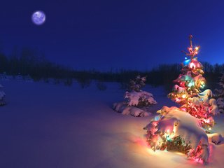 Обои снег, елка, гирлянда, snow, tree, garland разрешение 1920x1200 Загрузить