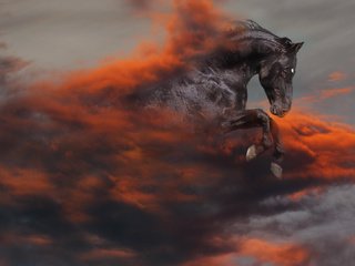 Обои лошадь, черный, апокалипсис, конь, horse, black, apocalypse разрешение 1920x1080 Загрузить