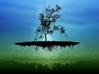 Обои дерево, вектор, остров, tree, vector, island разрешение 2560x1600 Загрузить