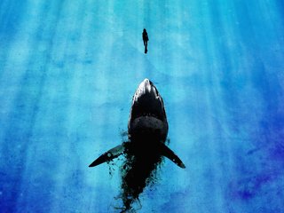 Обои вода, синий, человек, черный, океан, опасность, акула, water, blue, people, black, the ocean, danger, shark разрешение 5000x3126 Загрузить
