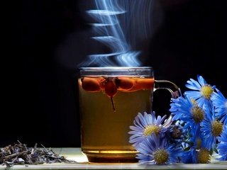 Обои цветы, чай, аромат, flowers, tea, aroma разрешение 1920x1200 Загрузить