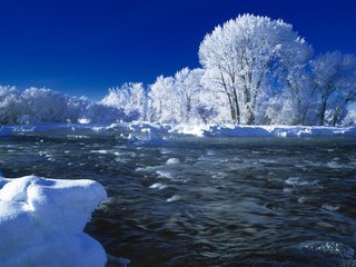 Обои деревья, река, снег, зима, trees, river, snow, winter разрешение 1920x1080 Загрузить
