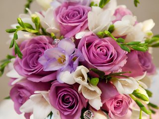Обои cvety, fioletovyj, rozy, buket разрешение 4368x2912 Загрузить