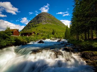 Обои деревья, река, лес, пейзаж, гора, поток, норвегия, trees, river, forest, landscape, mountain, stream, norway разрешение 2560x1600 Загрузить