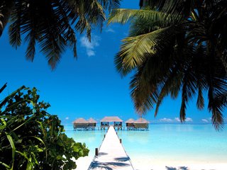 Обои тропики, мальдивы, tropics, the maldives разрешение 4275x2816 Загрузить