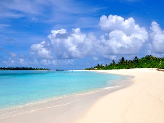 Обои пляж, остров, тропики, мальдивы, beach, island, tropics, the maldives разрешение 4074x2681 Загрузить