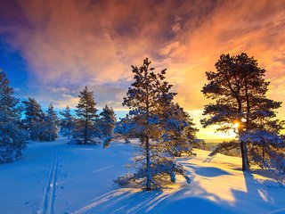 Обои небо, норвегия, облака, деревья, солнце, природа, лес, закат, зима, the sky, norway, clouds, trees, the sun, nature, forest, sunset, winter разрешение 2048x1152 Загрузить