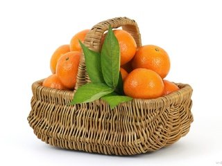 Обои листья, фрукты, апельсины, корзина, цитрусы, leaves, fruit, oranges, basket, citrus разрешение 1920x1280 Загрузить