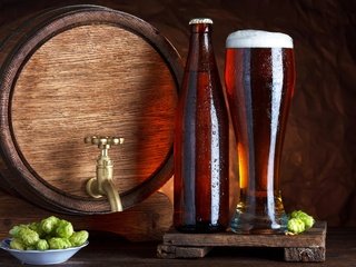 Обои напитки, стакан, пиво, бочка, хмель, drinks, glass, beer, barrel, hops разрешение 2874x1800 Загрузить