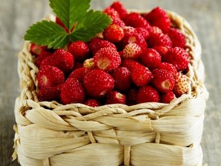 Обои ягоды, земляника, корзинка, лукошко, berries, strawberries, basket разрешение 2000x1734 Загрузить