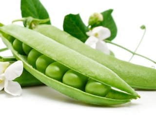 Обои белый фон, горох, стручек, зеленый горошек, white background, peas, struck, green peas разрешение 1920x1086 Загрузить