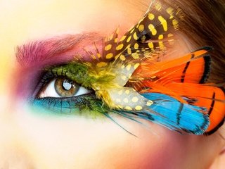 Обои стиль, макро, взгляд, лицо, перья, глаз, style, macro, look, face, feathers, eyes разрешение 5284x3744 Загрузить